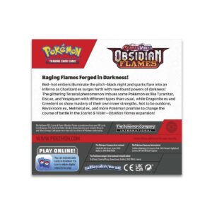 P8979 699 86374 04 Pokezonetcg you store for TCG